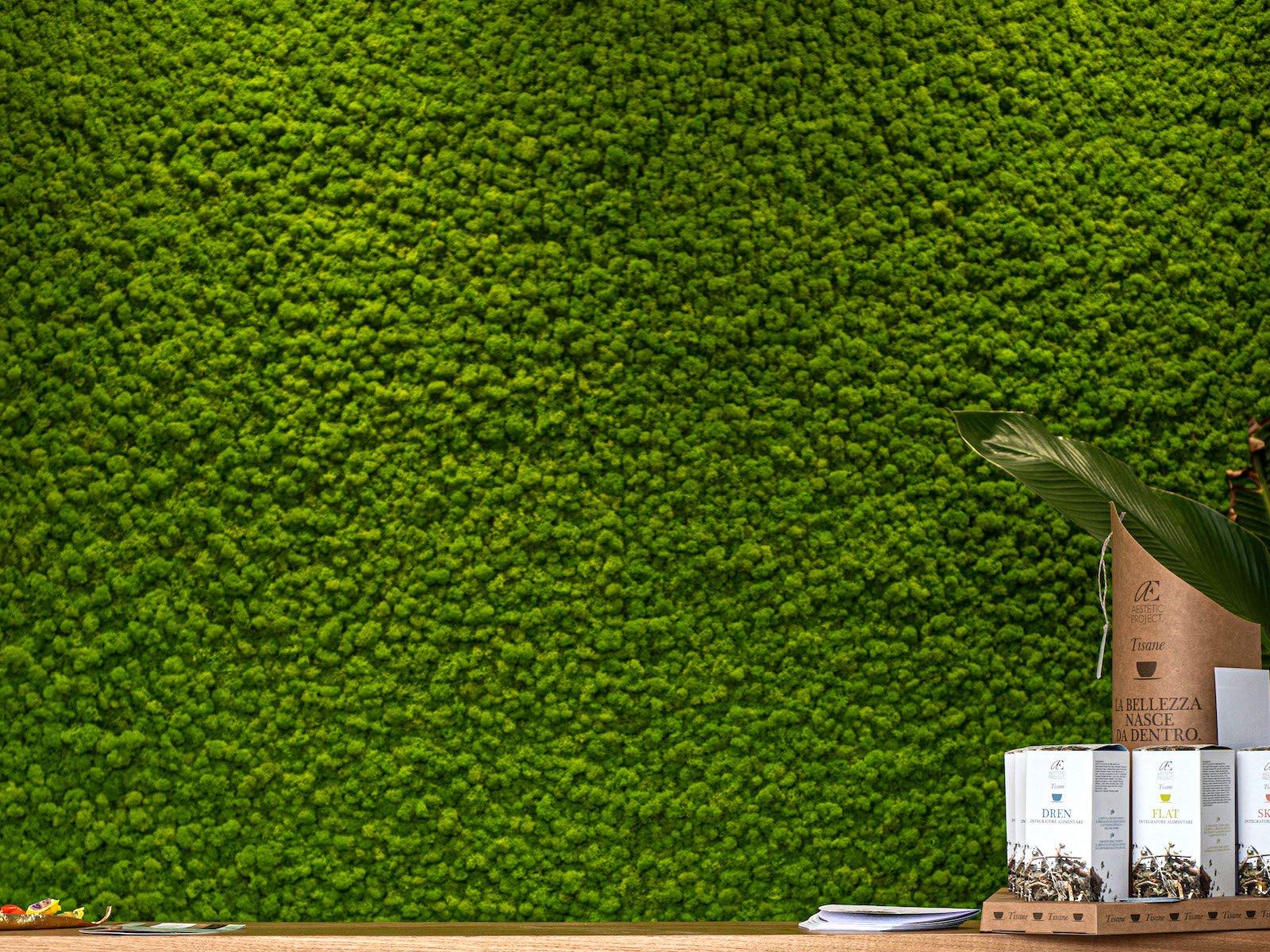 Interni di Pepe Rosa Concept Store, parete verde con prodotti in vetrina
